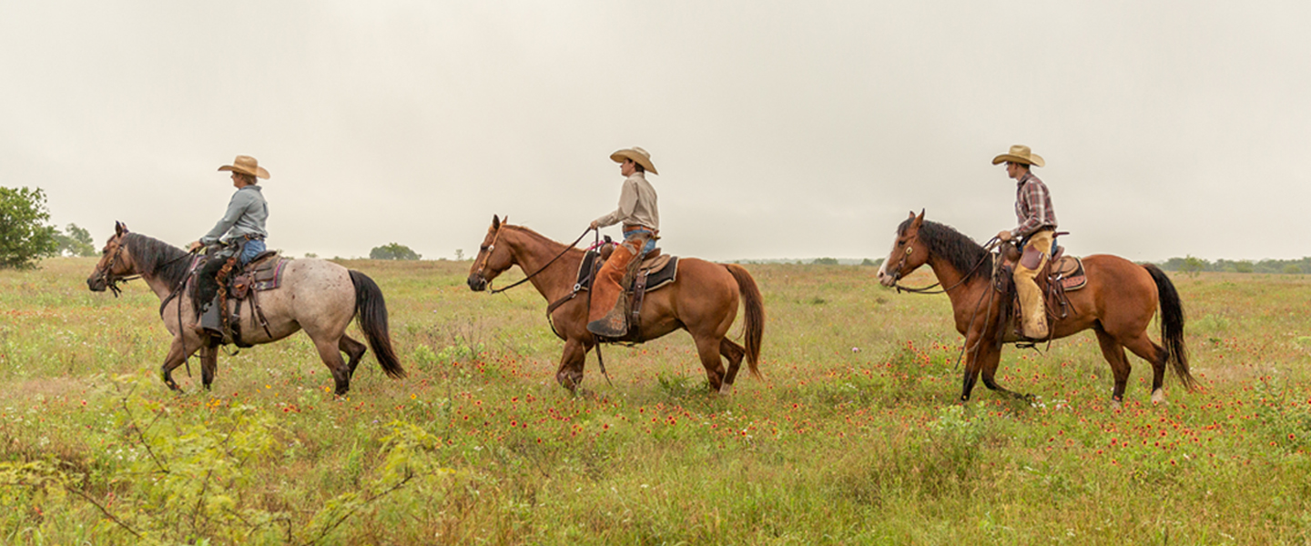 Three men on horseback in field 